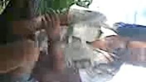 Ngintip Sma Di Kebun Lagi Ngewe